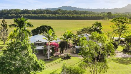 632 Doonan Bridge Road North, Doonan, QLD