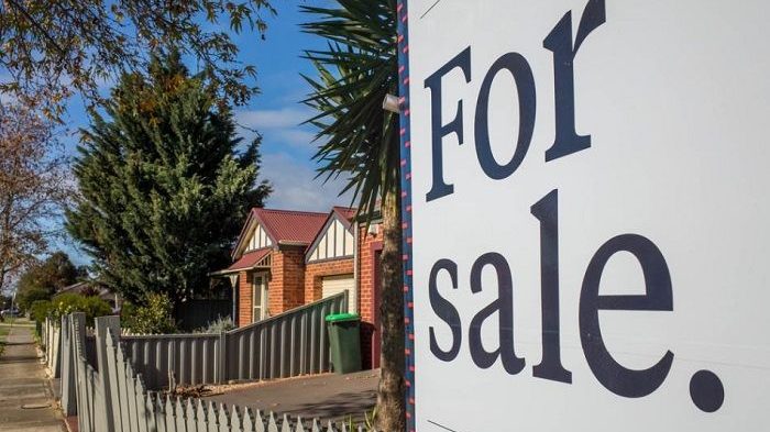 Real Estate Agent