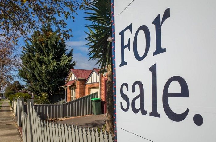 Real Estate Agent