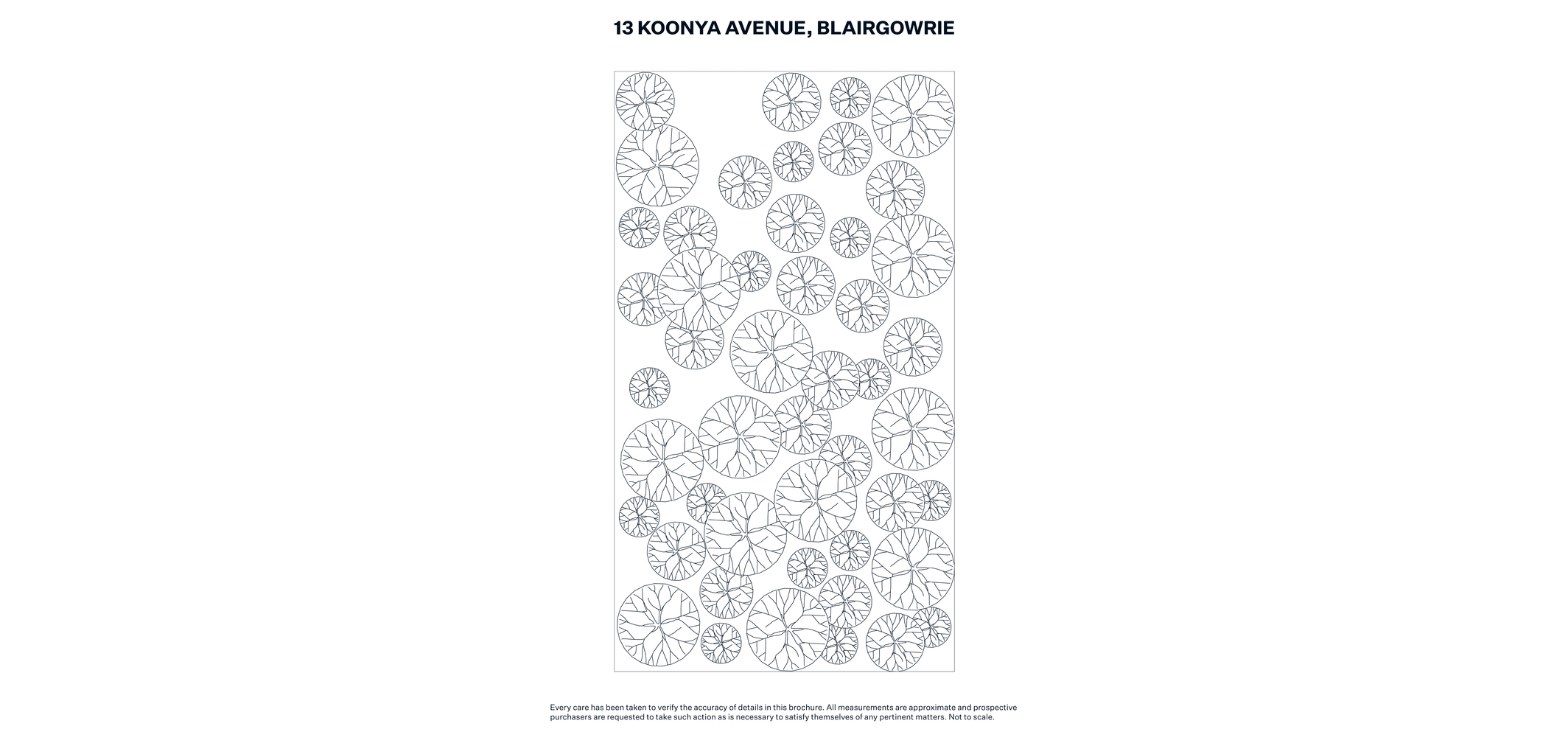 image-15.gif